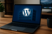 WordPress Hosting’de Güvenli ve Hızlı Altyapının Adresi: Sunucu Dijital