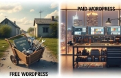 Ücretsiz ve Ücretli WordPress Arasındaki Farklar Nedir?